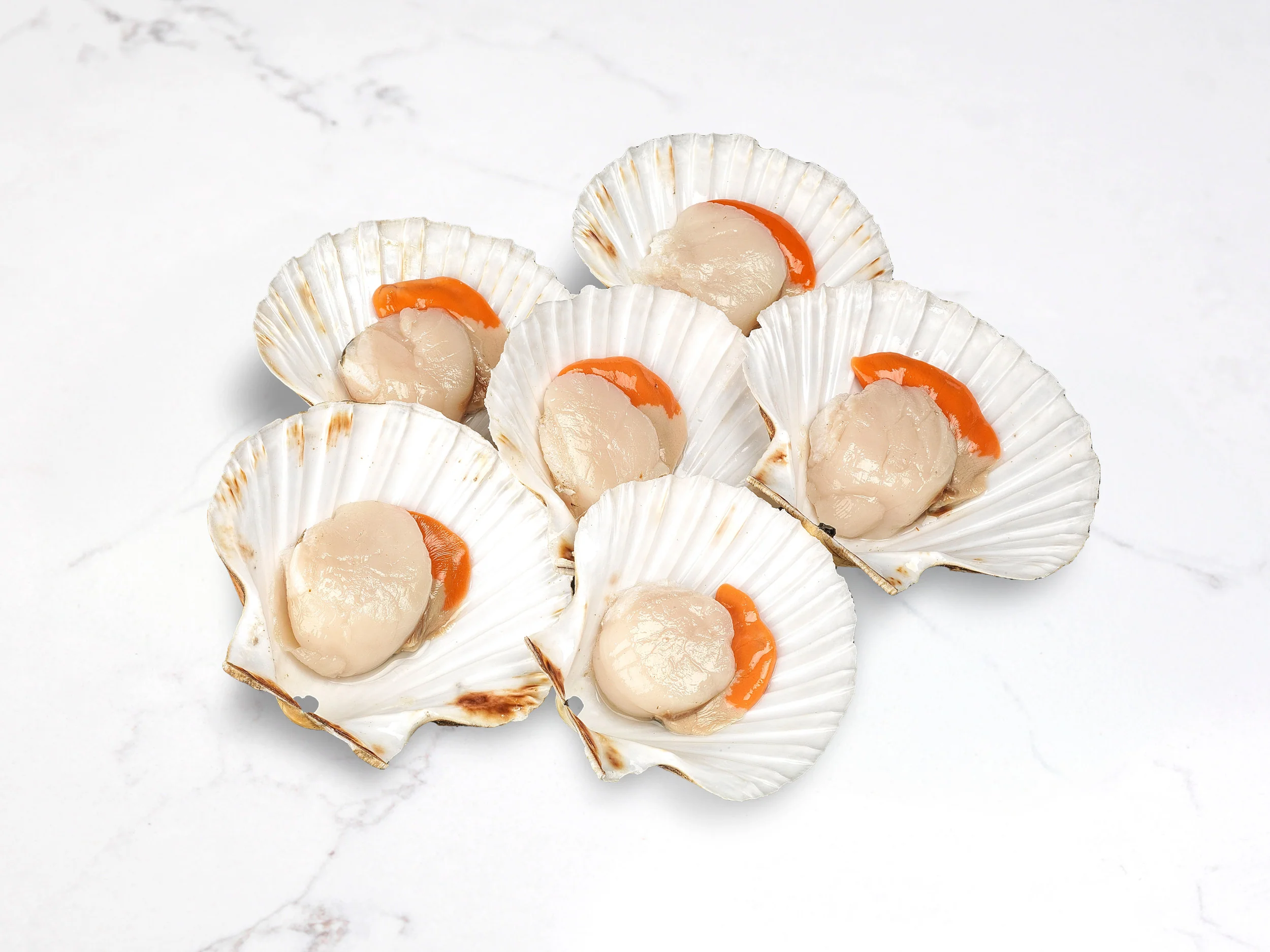 Scallops